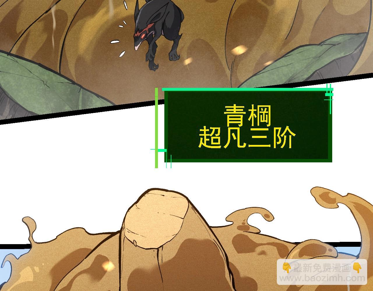 第188话 战火31