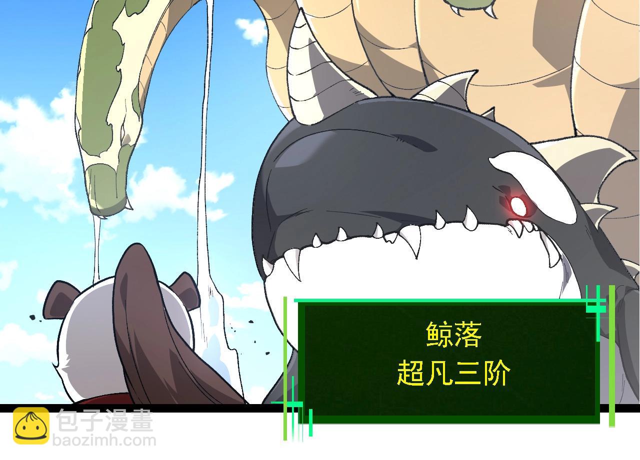 第194话 作战动员77