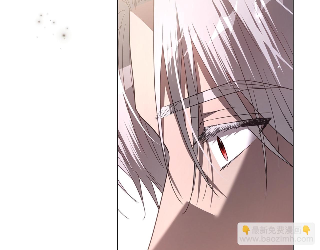 第57话 王妃被劫走101