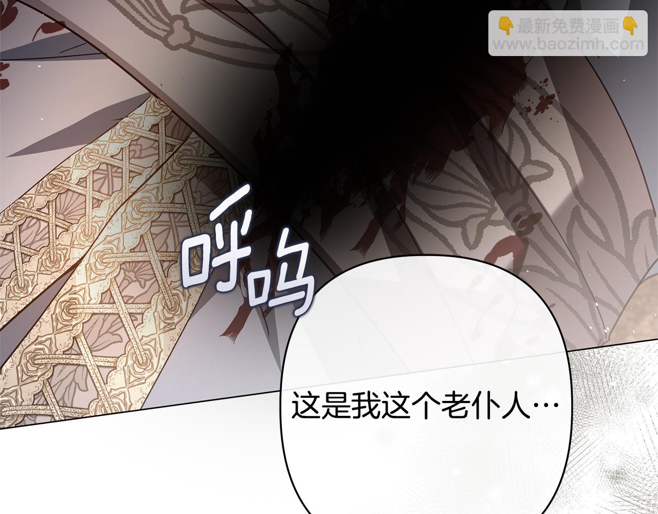 第57话 王妃被劫走119
