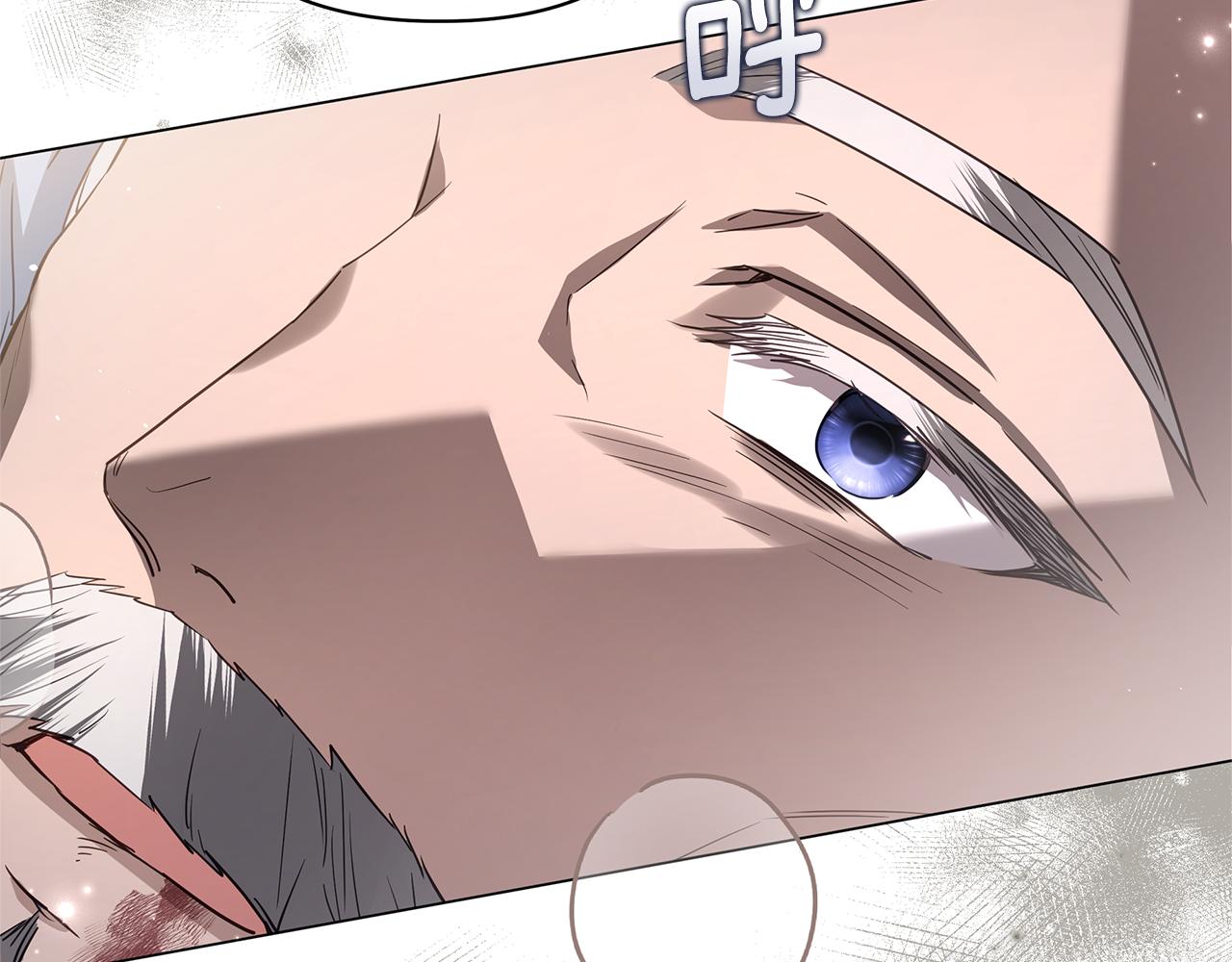 第57话 王妃被劫走121