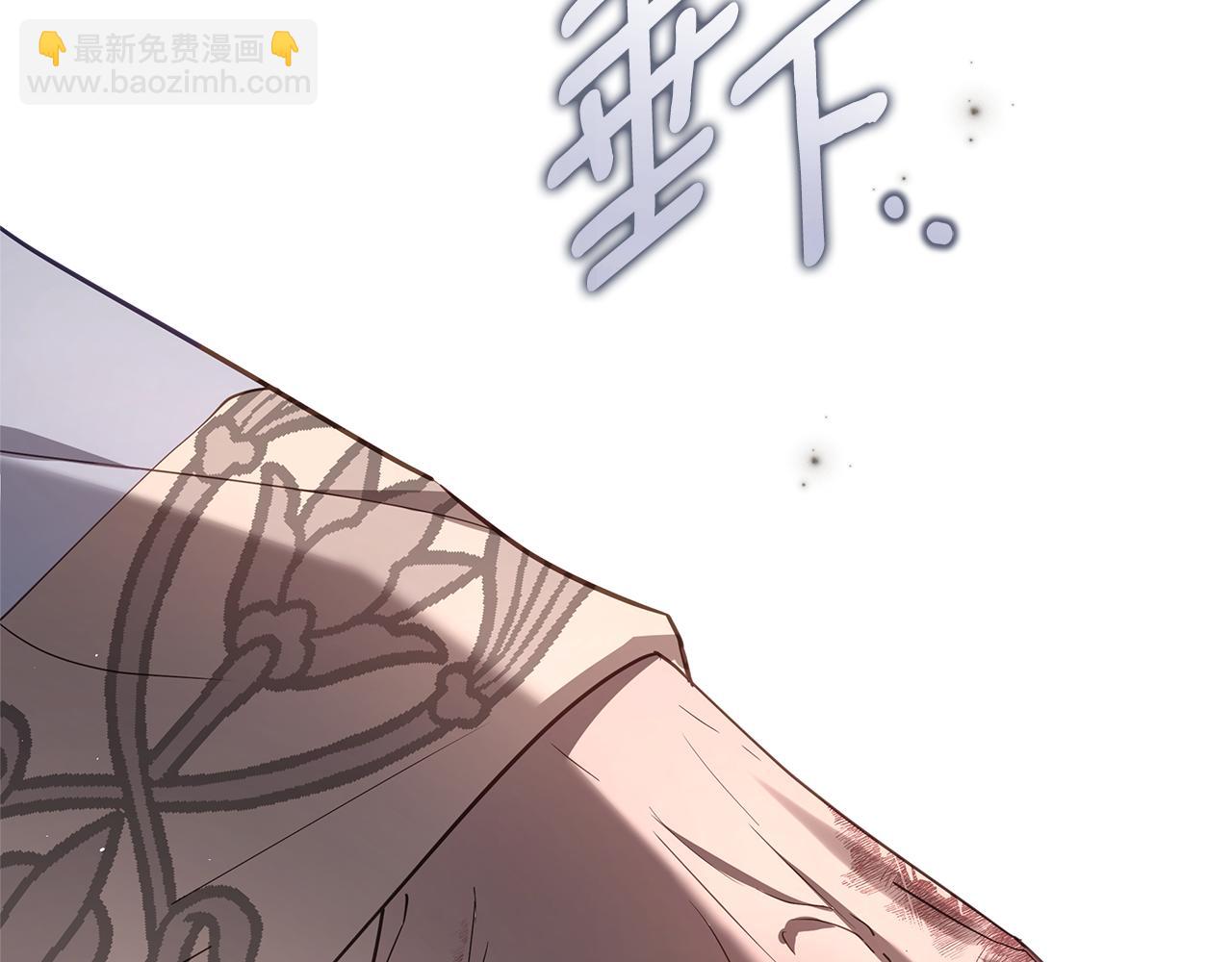 第57话 王妃被劫走125