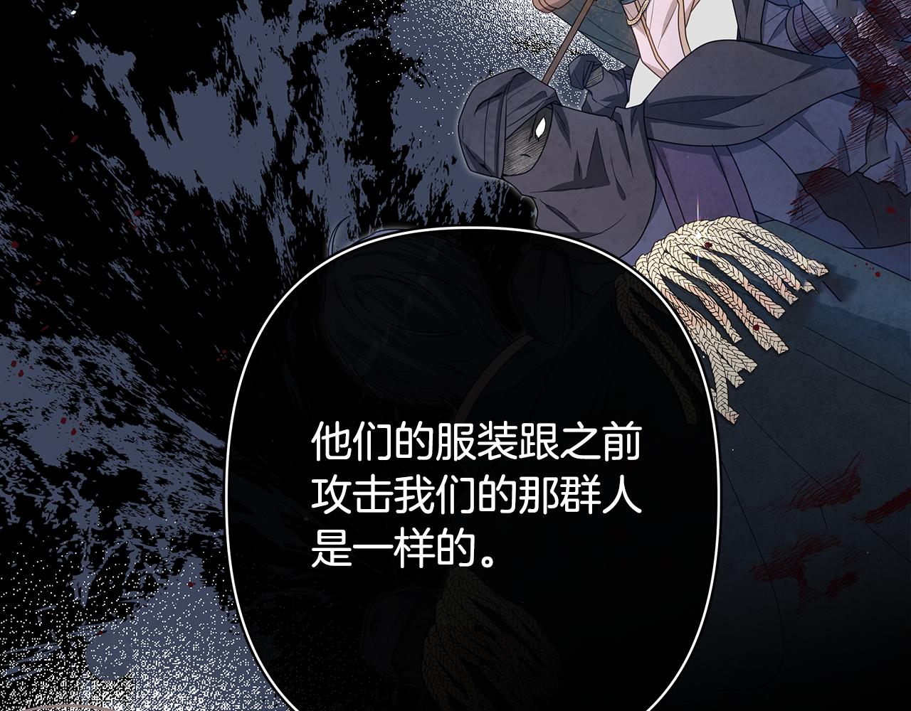 第57话 王妃被劫走217