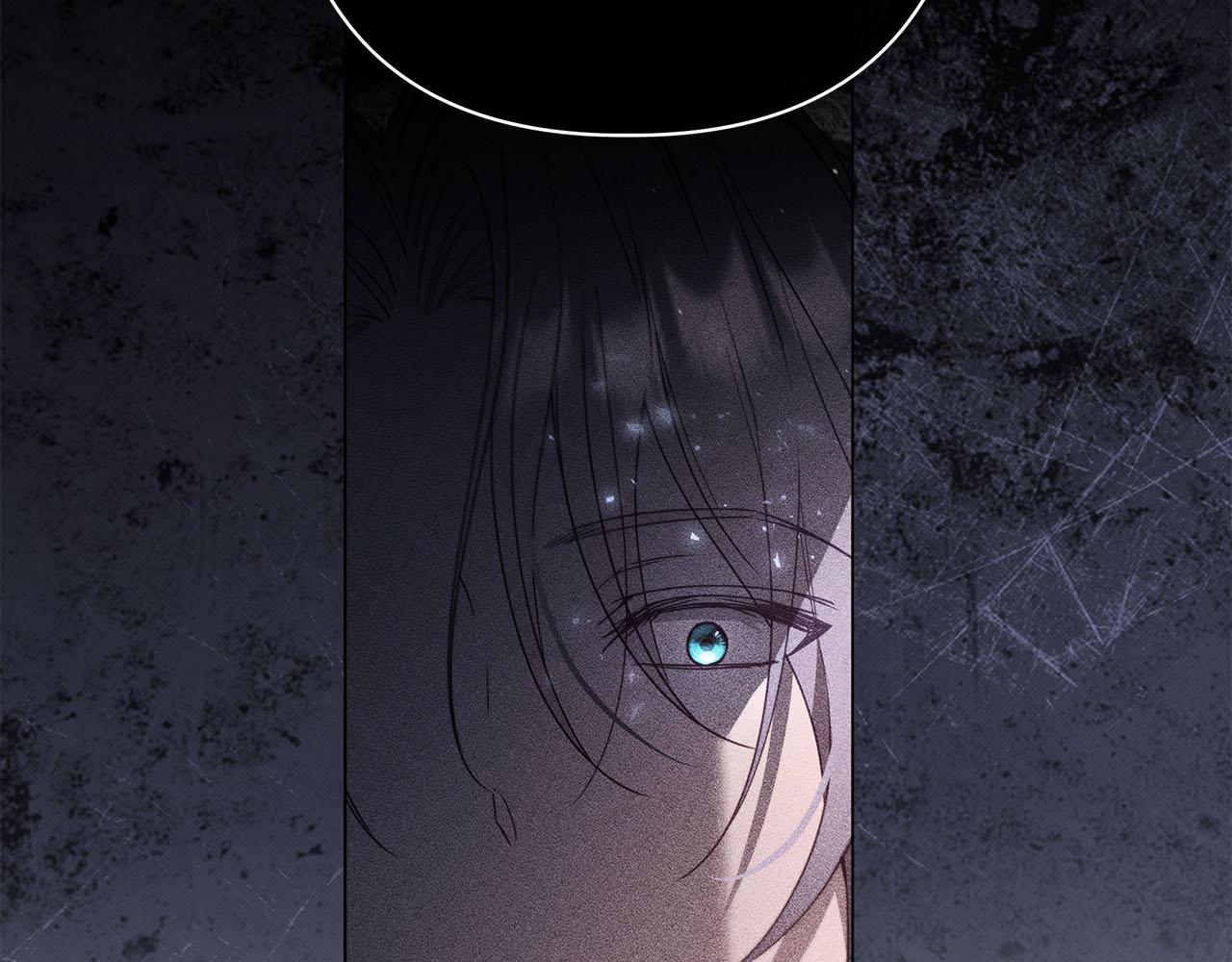 第57话 王妃被劫走237