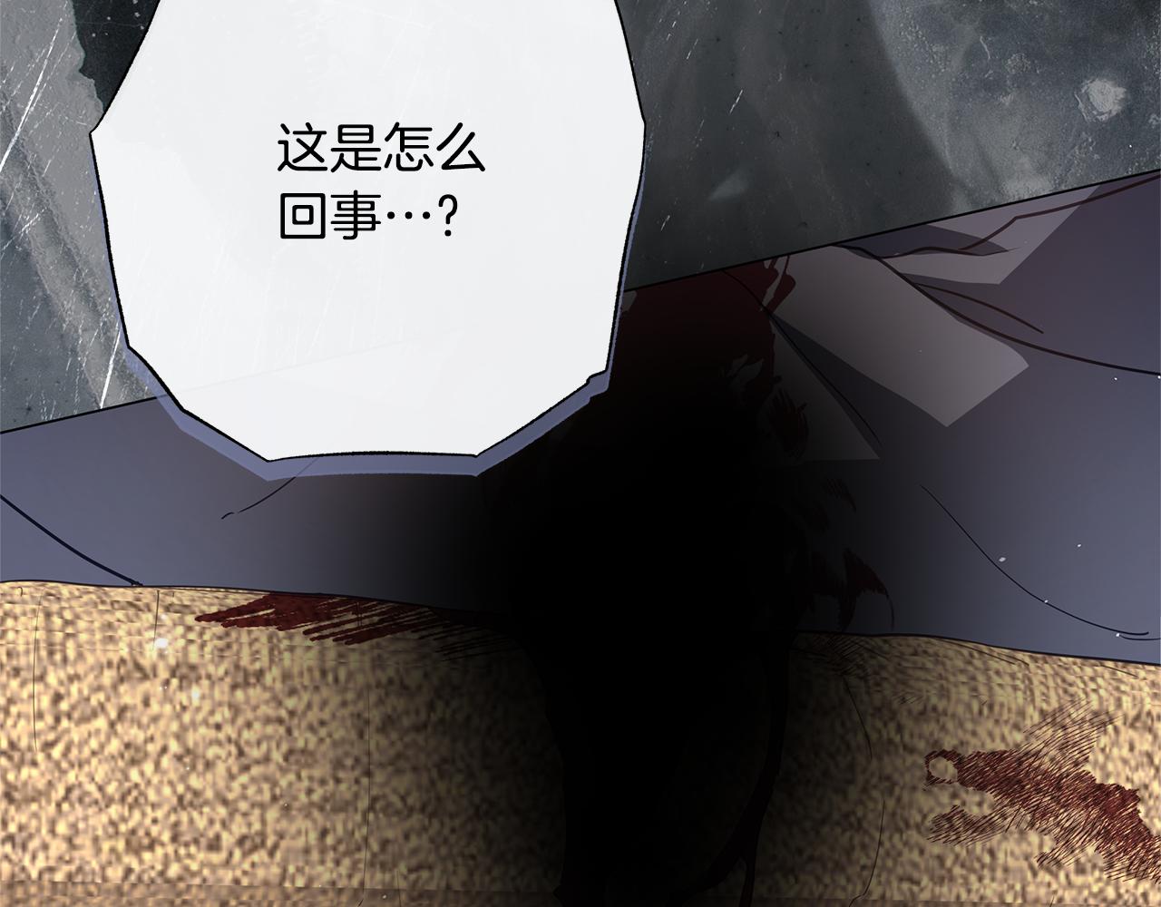 第57话 王妃被劫走40