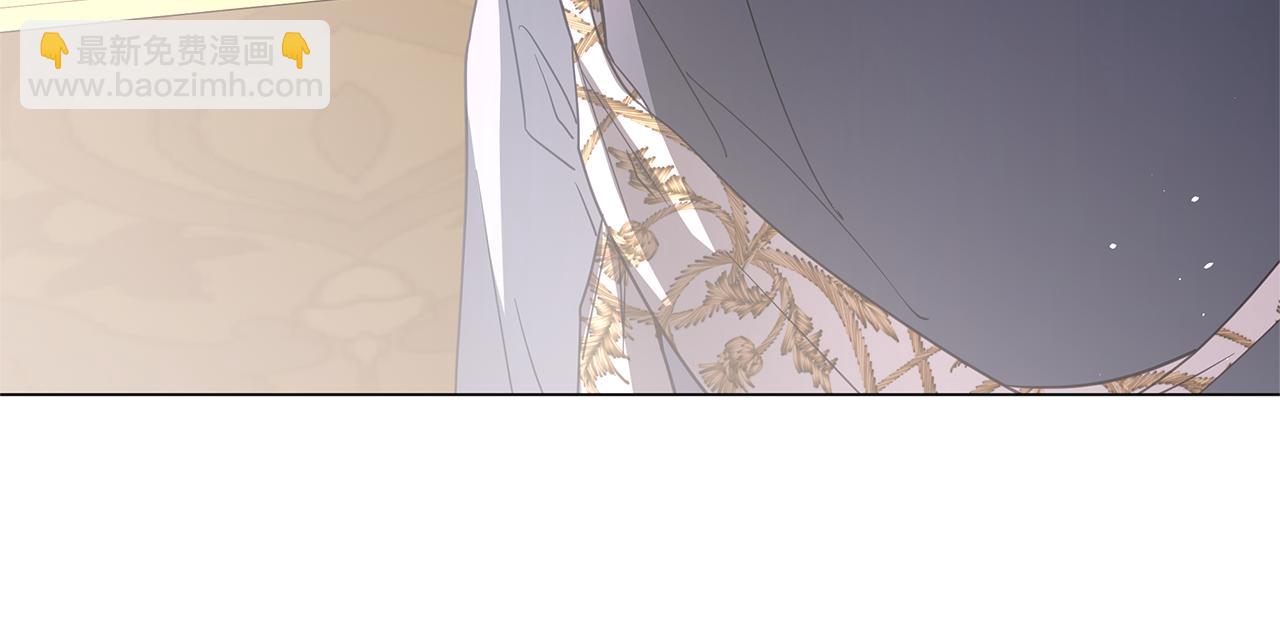 第57话 王妃被劫走94