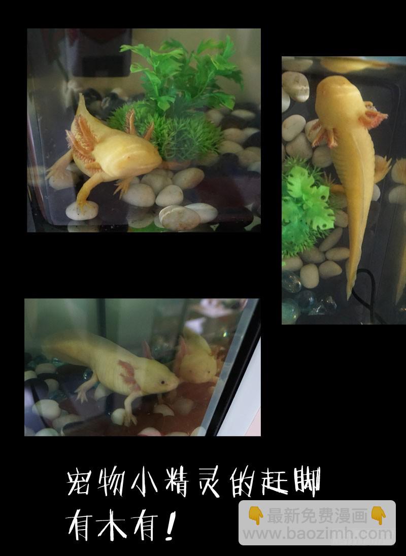 9.线索29