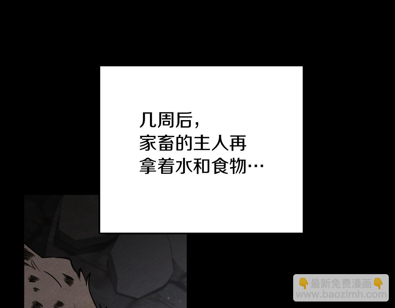 第10话 驯服15