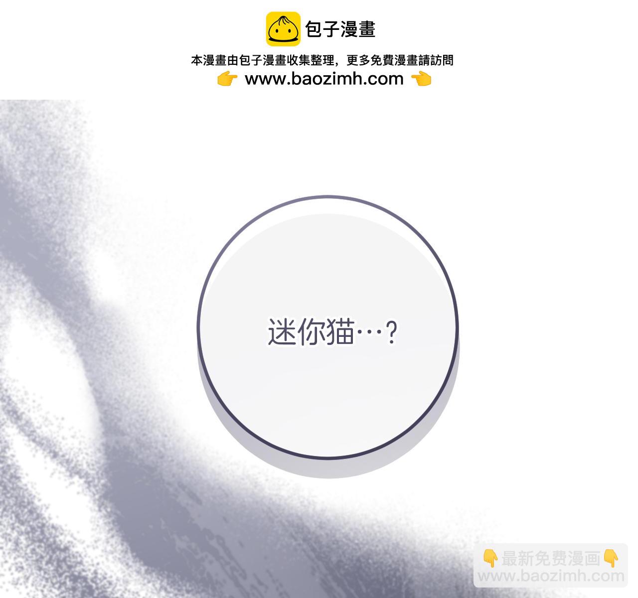 第28话 为什么要杀死自己的宠物1