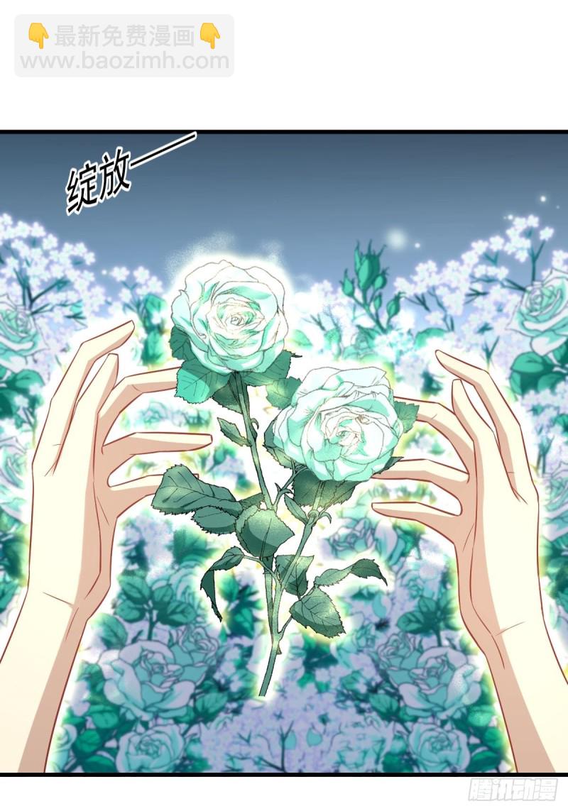 第235话 白玫瑰13