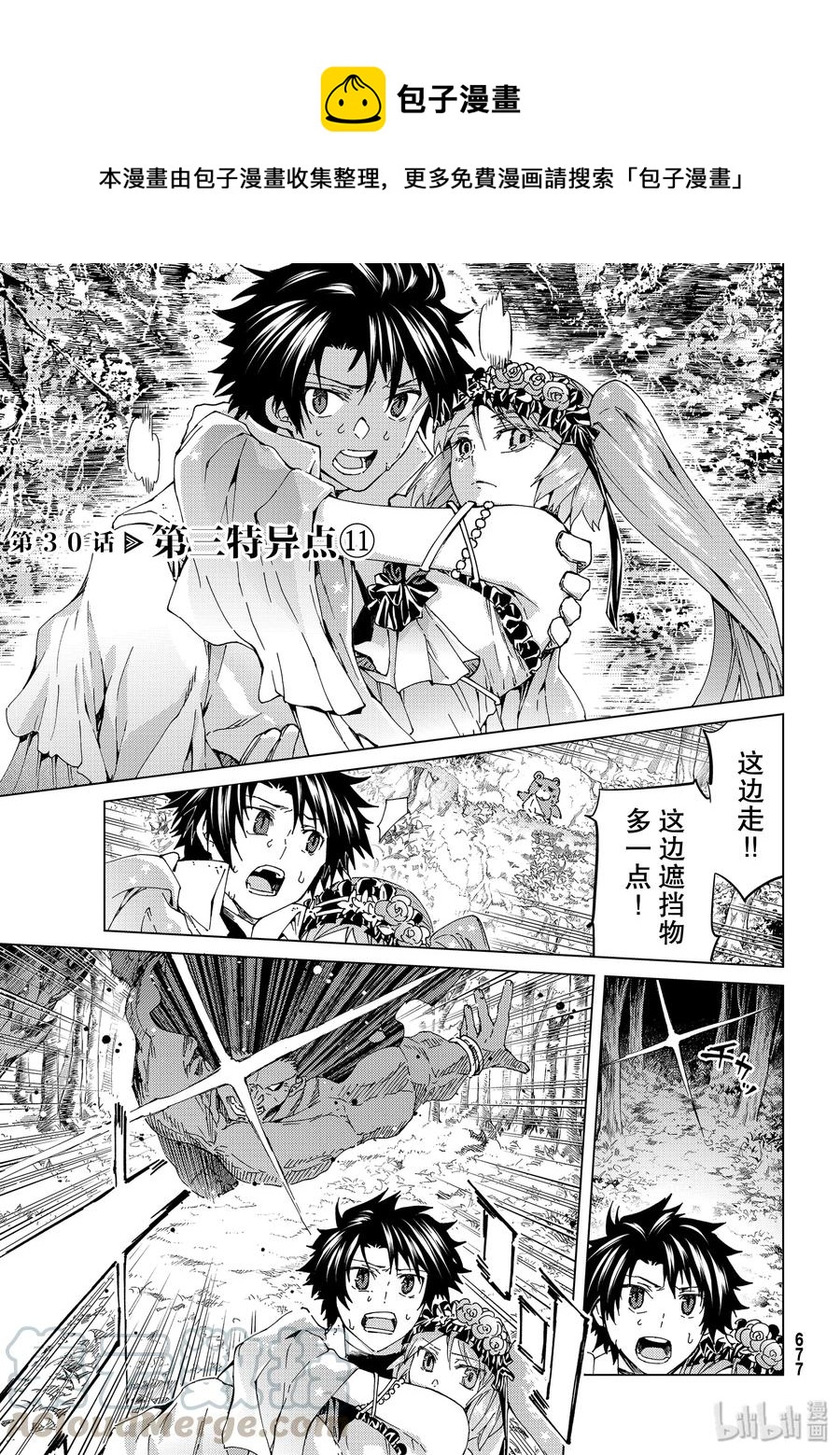 30 第三特异点110