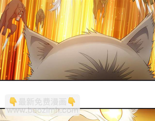 第139话 招财猫！20