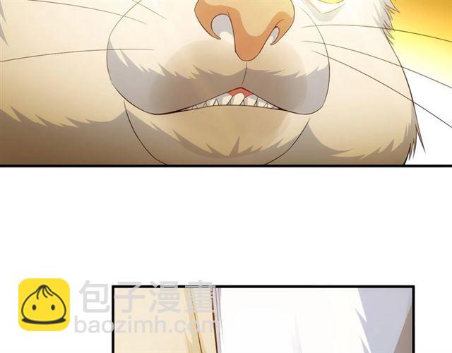 第139话 招财猫！21