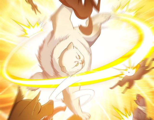 第139话 招财猫！24