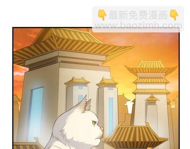 第139话 招财猫！4