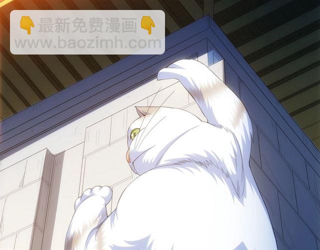 第139话 招财猫！75