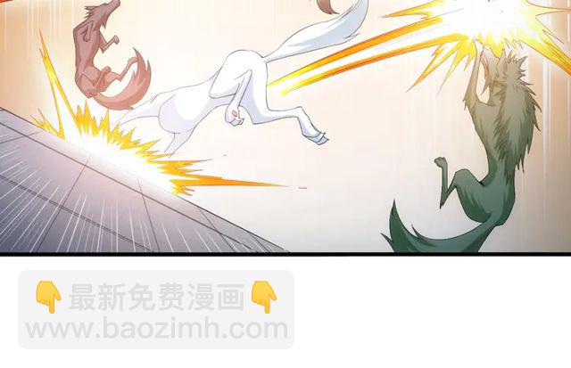 第153话 没见过这么菜的54