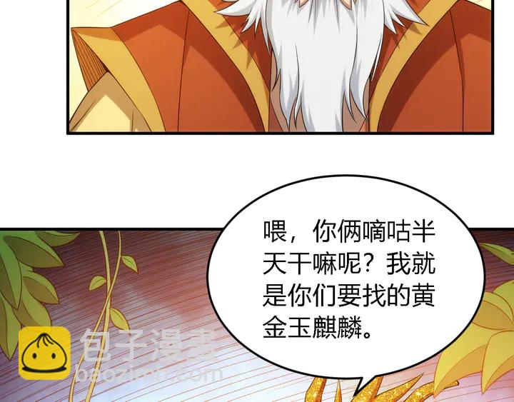 第218话 “黄金”麒麟玉27