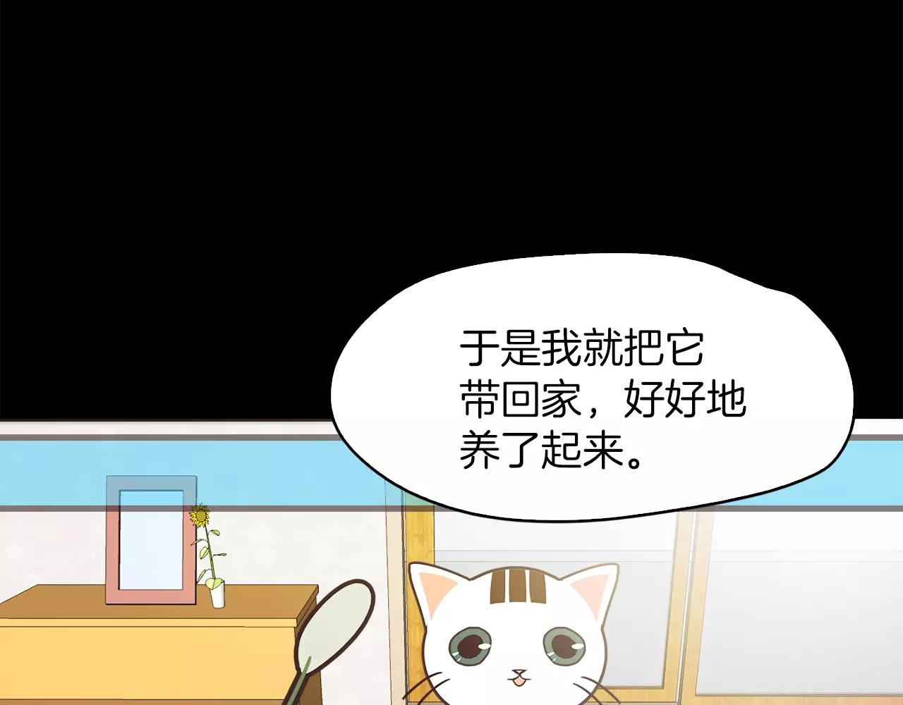 第12话 失踪35