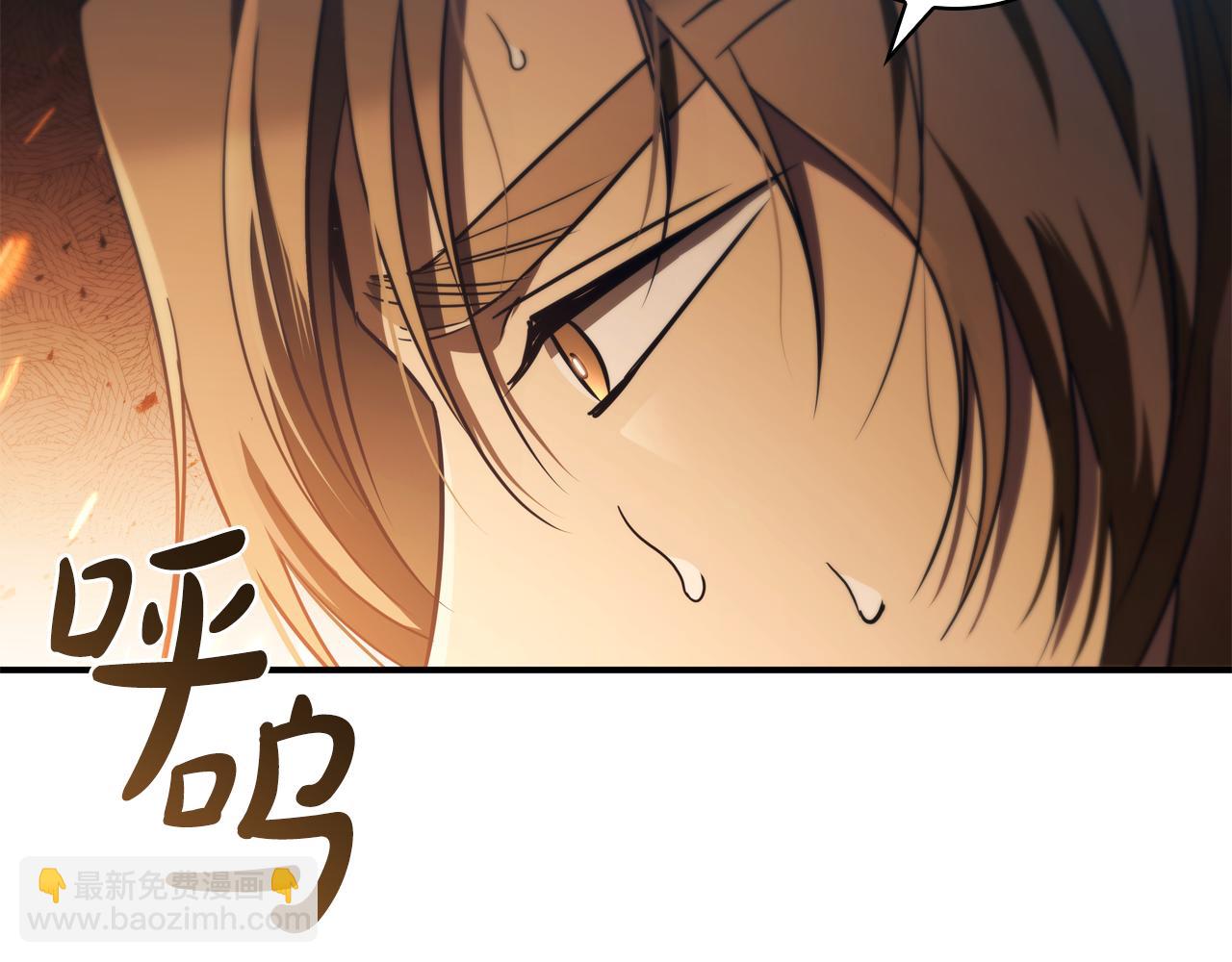 第33话 逐渐成为“莱奥”41