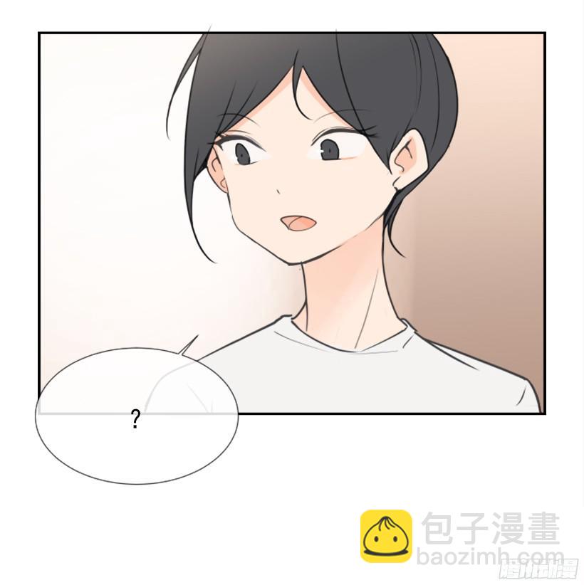 电视报导13