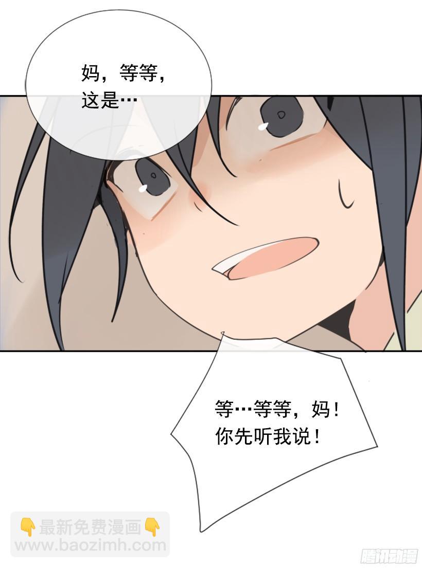 电视报导24