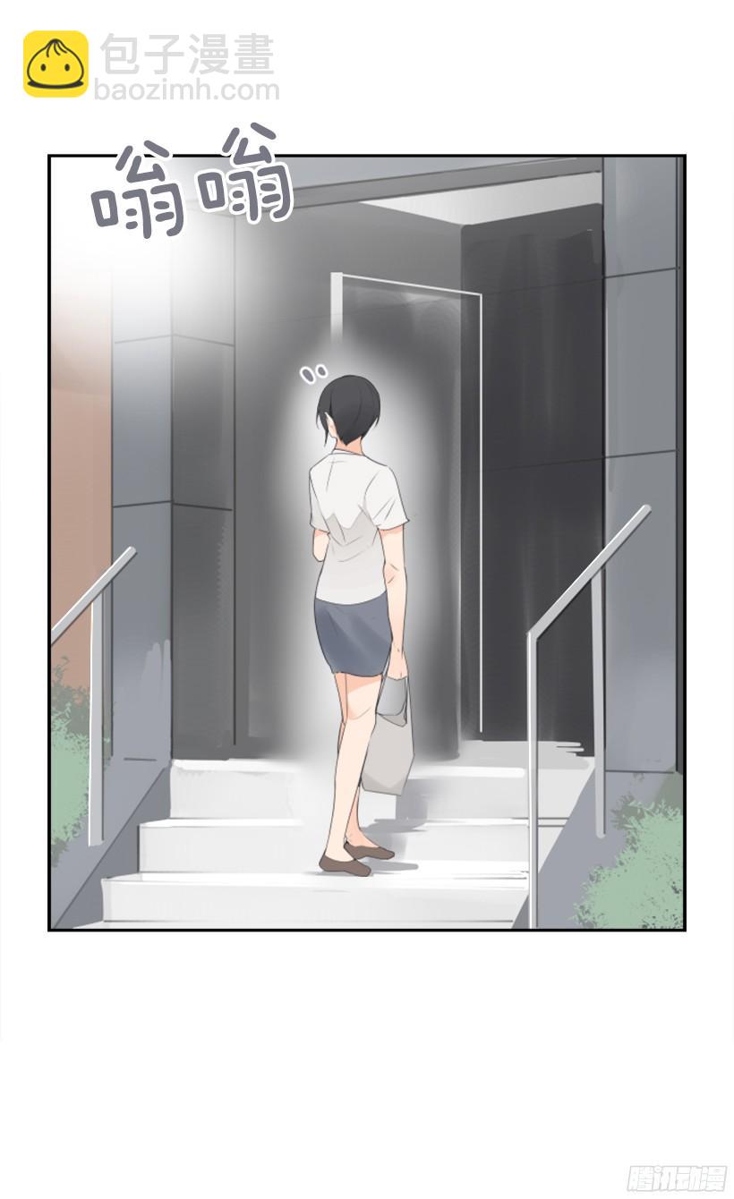 电视报导3
