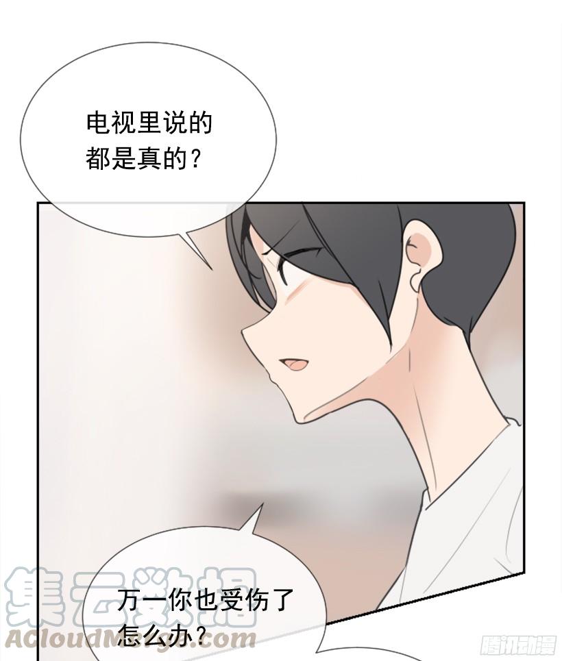 电视报导30