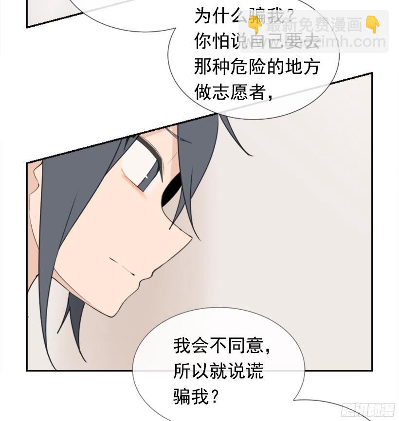电视报导31