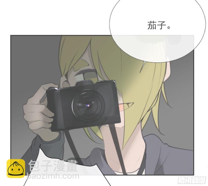 电视报导41