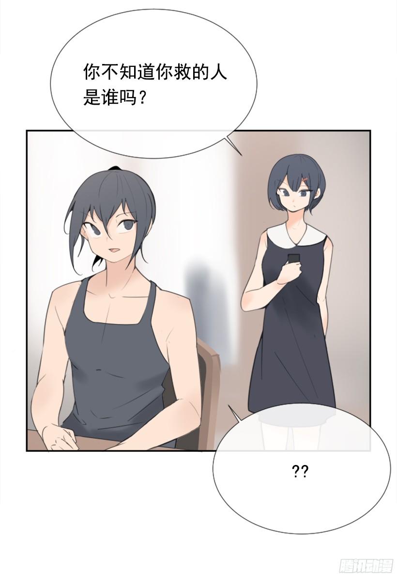 电视报导48