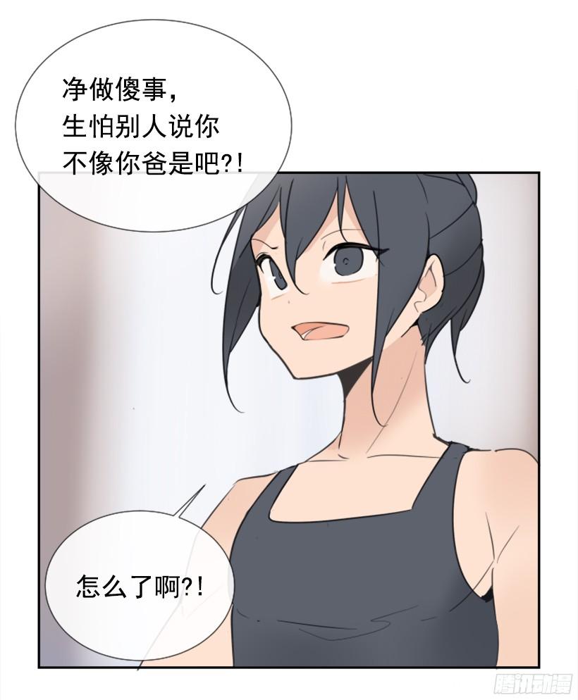 电视报导51