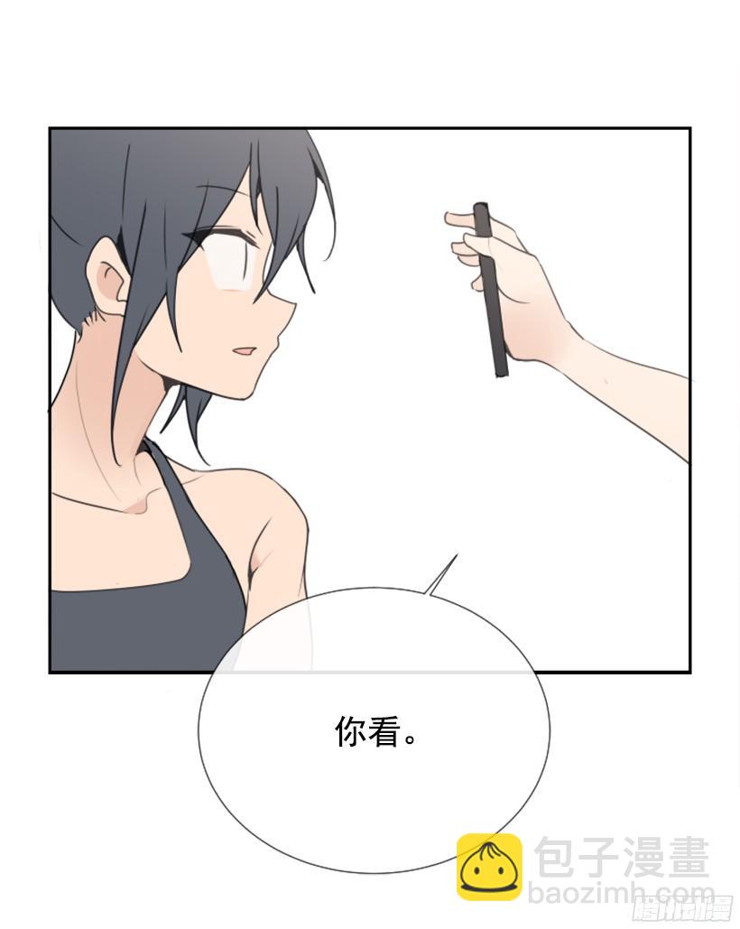 电视报导53