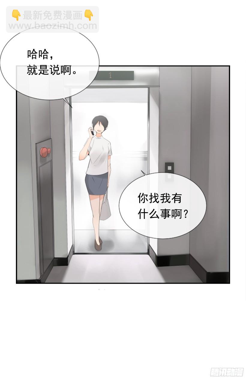 电视报导6