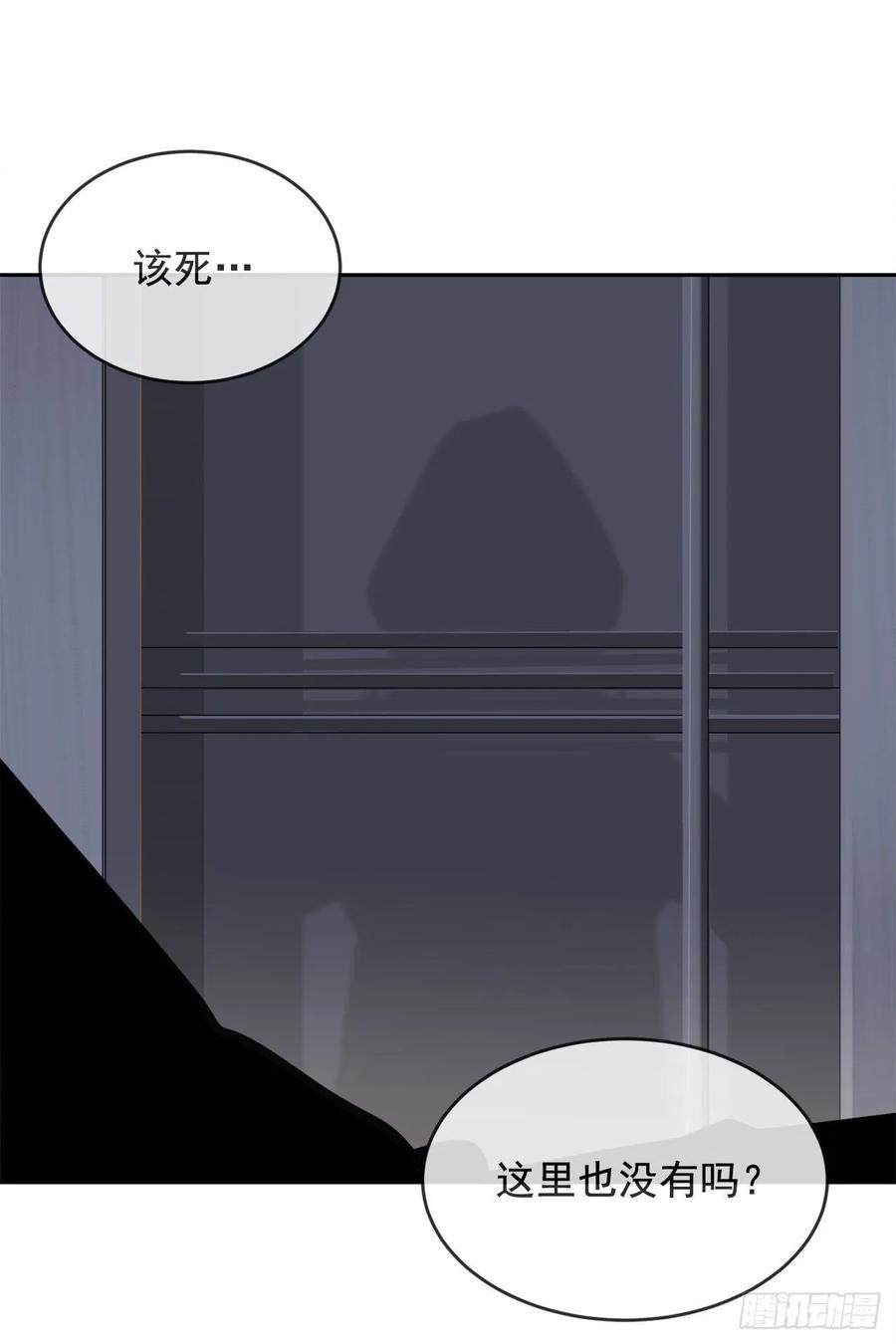 地头蛇15