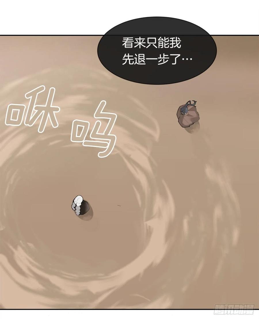 420.萨拉丁17
