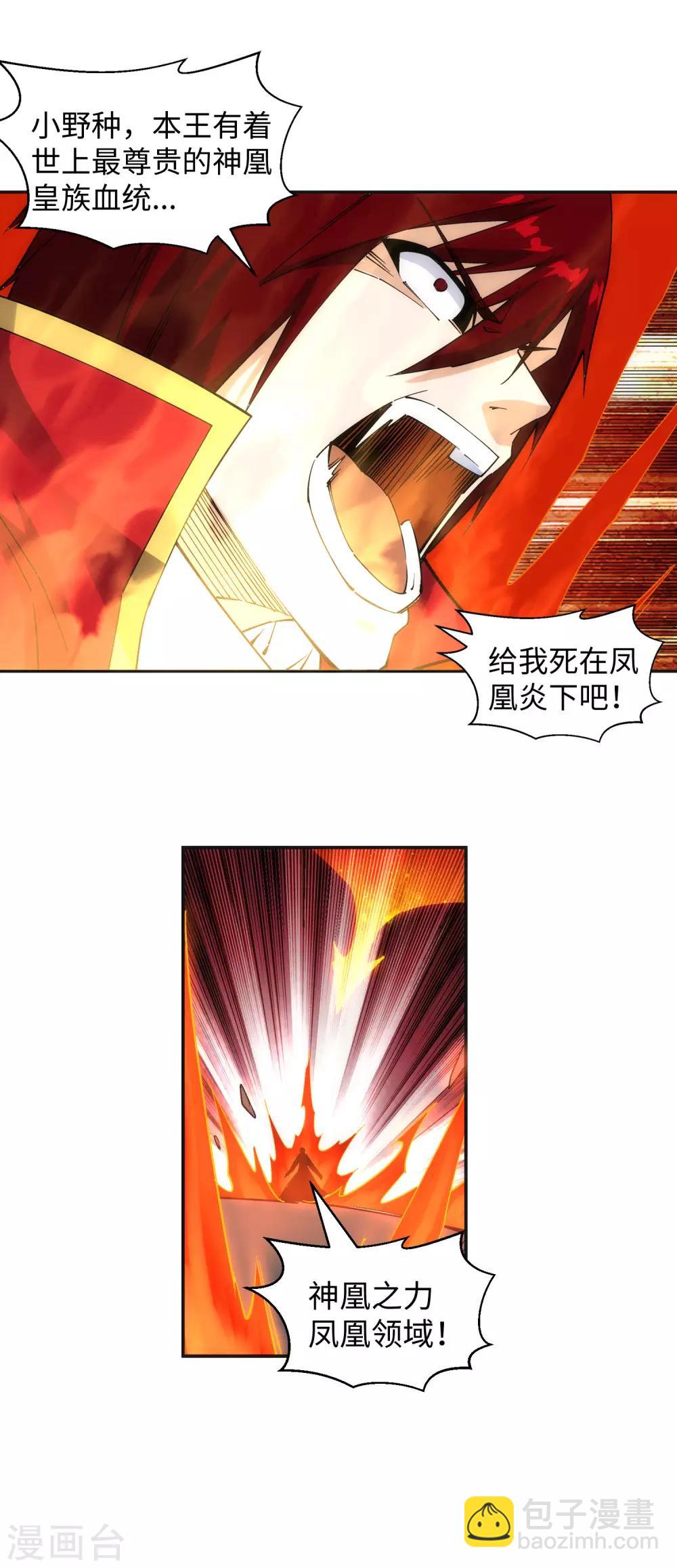 第205话 神凰皇子21