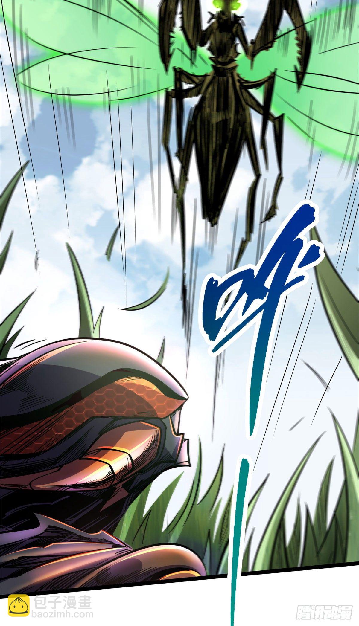 03 币哥9