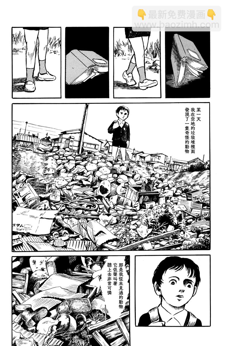 袋中黑影5