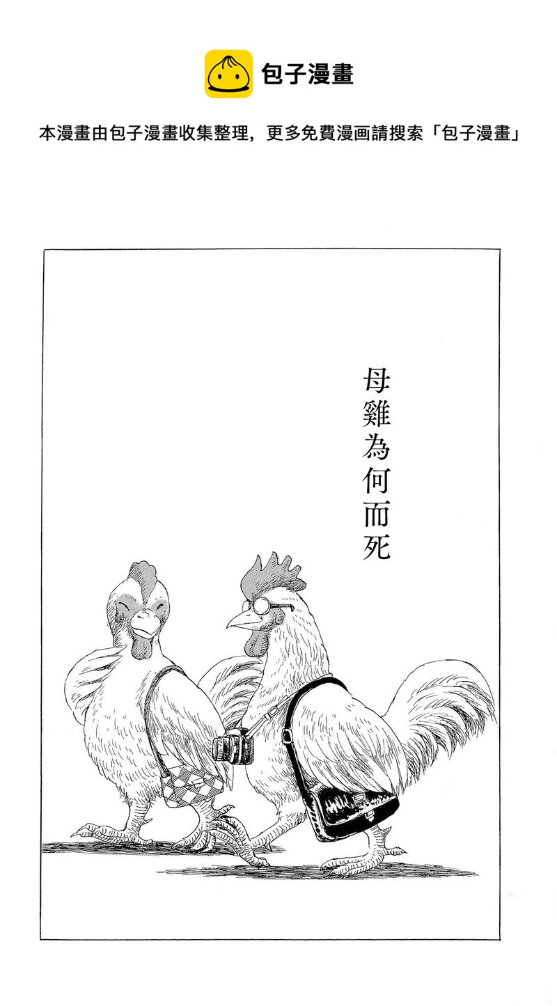母鸡为何而死0