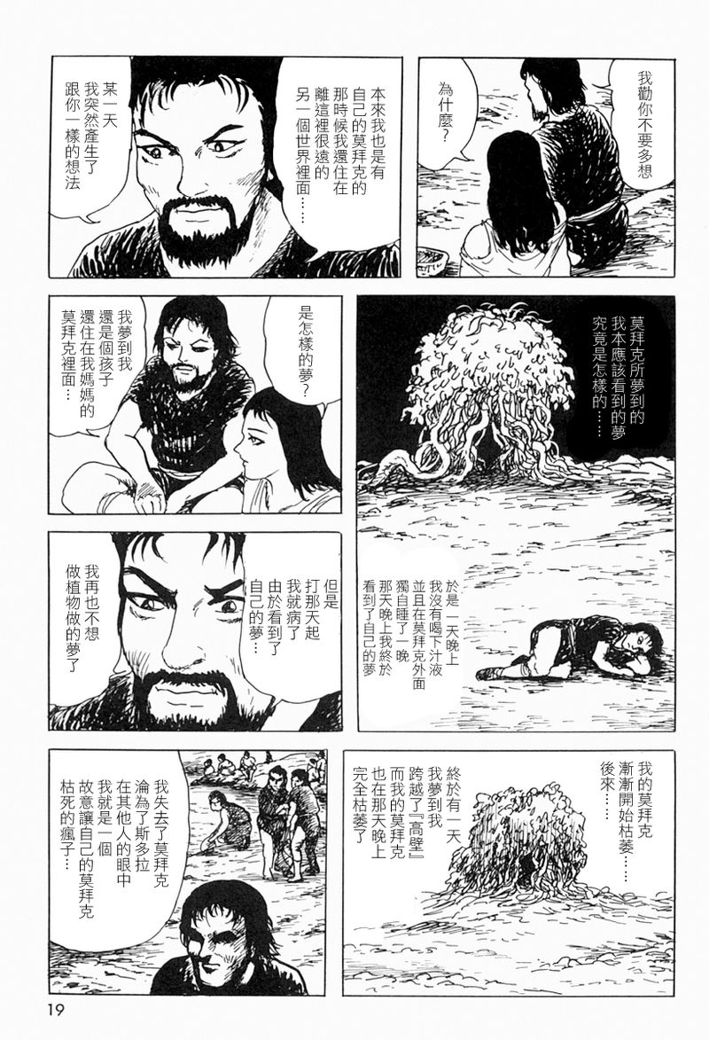 梦之树下14