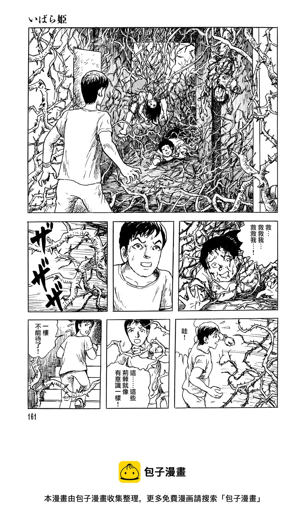 荆棘公主12
