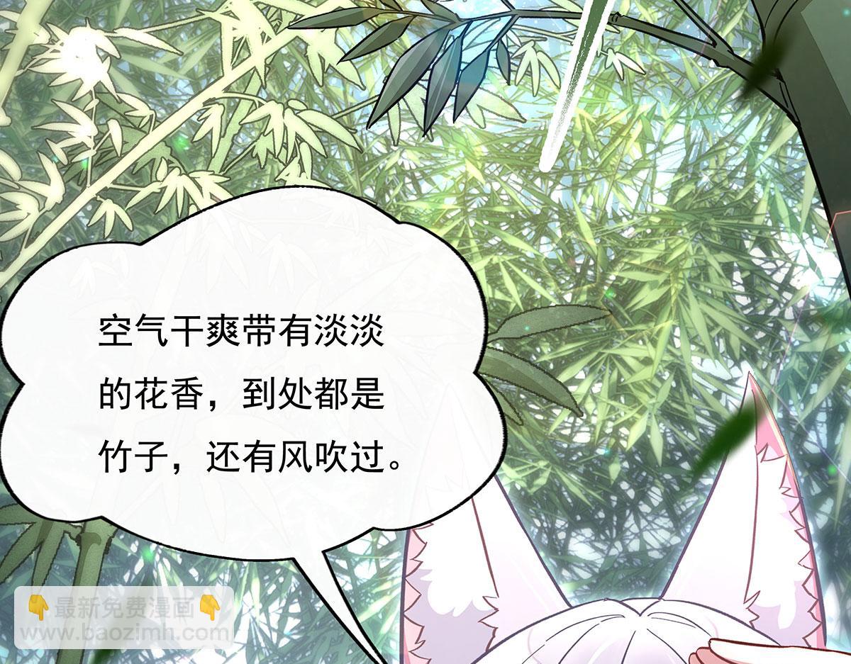 第221话 天南桃源乡67