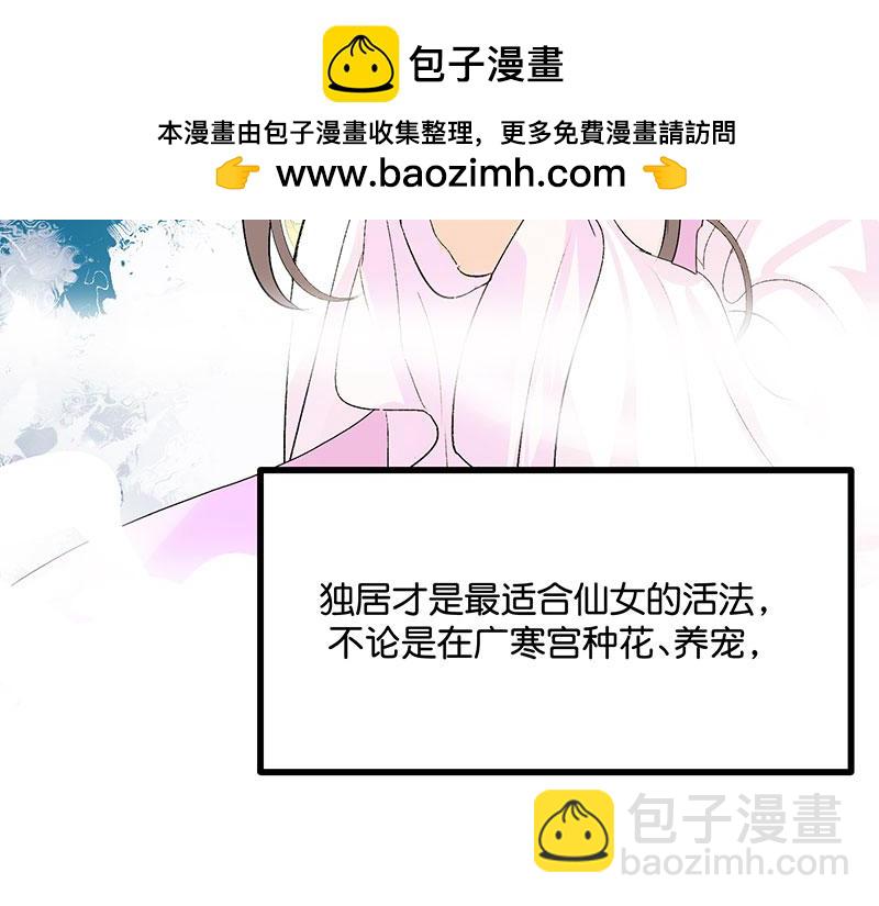 41 第二次公演开始12