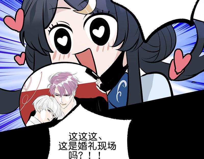 44 笼12