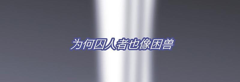 44 笼156