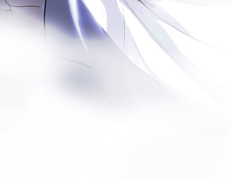 44 笼218