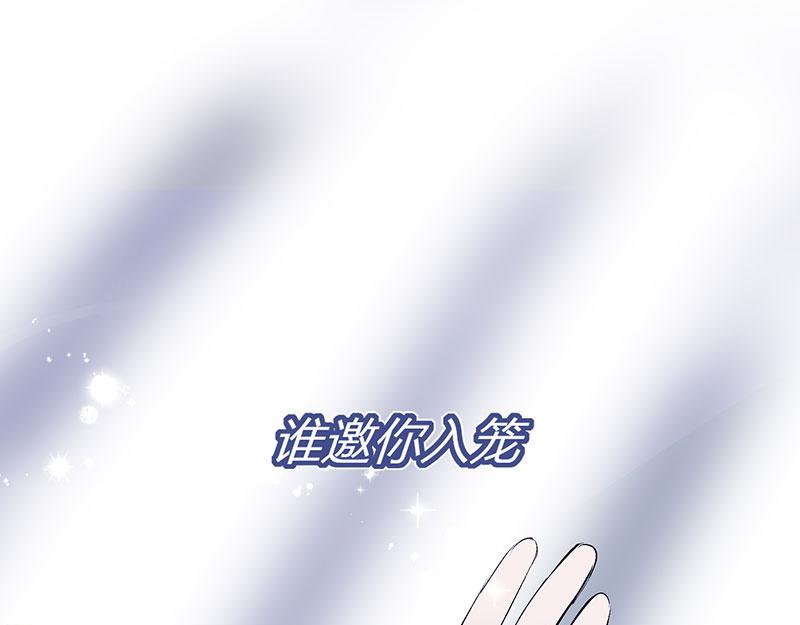 44 笼228