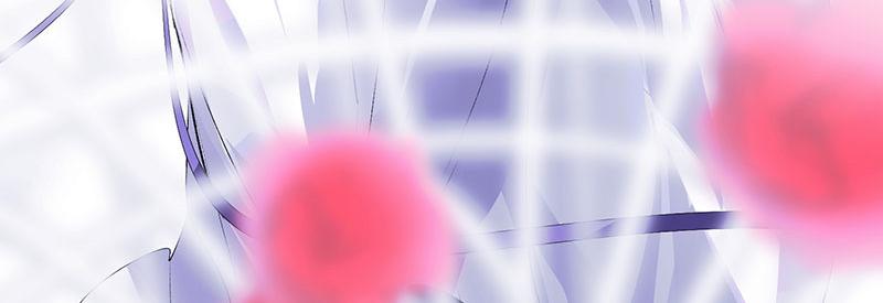 44 笼46