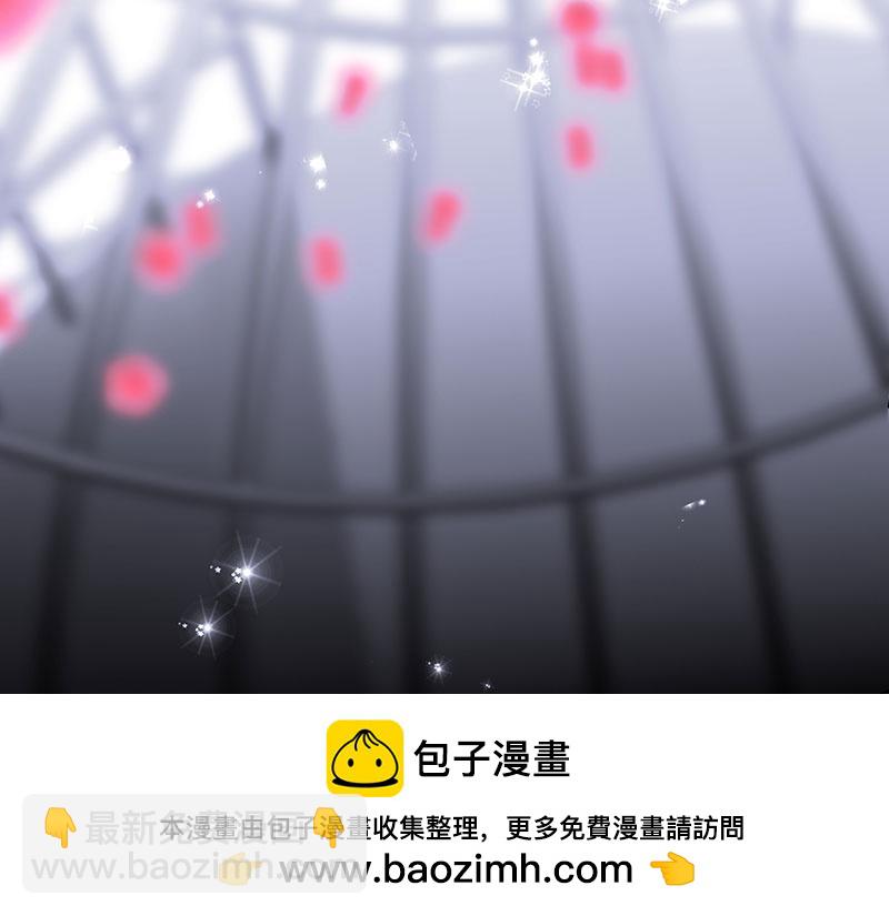 44 笼53